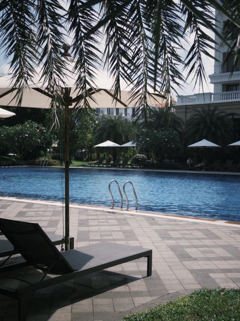 Relaxing resort poolside view with loungers and umbrellas under palm trees.